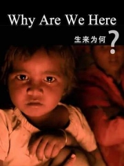 生来为何
