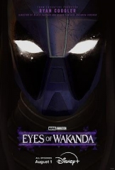 瓦坎达之眼 瓦坎达之眼